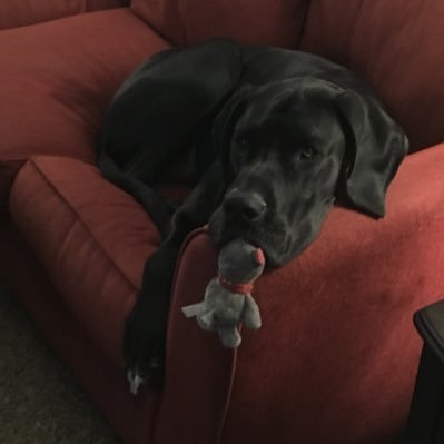 Profile Picture of Kyle Barth (@KyleBarth) on Twitter