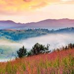 Profile Picture of Ayesha_kanwal_456 (@ayesha_kanwal_45) on Instagram