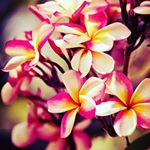 Profile Picture of Michael Jeleniewska (@_michael_jeleniewska) on Instagram