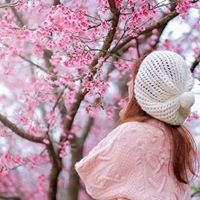 Profile Picture of Danet In (@danet-in) on Quora