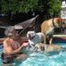 Profile Picture of Tony Holcomb (@tony.holcomb.18) on Facebook