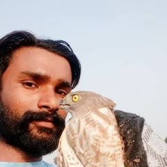 Profile Picture of RajInder Sahota (@RajInde04139375) on Twitter