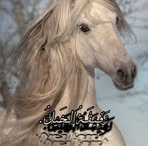 Profile Picture of RAdwa TArek Mohamed (@rdwytrq44) on Facebook