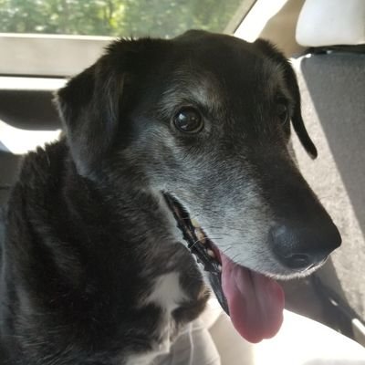 Profile Picture of Hayden Thompson (@_haydenthompson) on Twitter