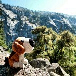 Andreas Bender - Instagram Profile Picture of Andreas Bender (@fixfeier) on Instagram