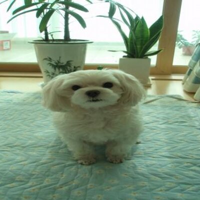 Profile Picture of DaeYoung Kim (@DaeYoung8268) on Twitter