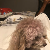 Profile Picture of Andra Stevens (@andrastevens) on Youtube