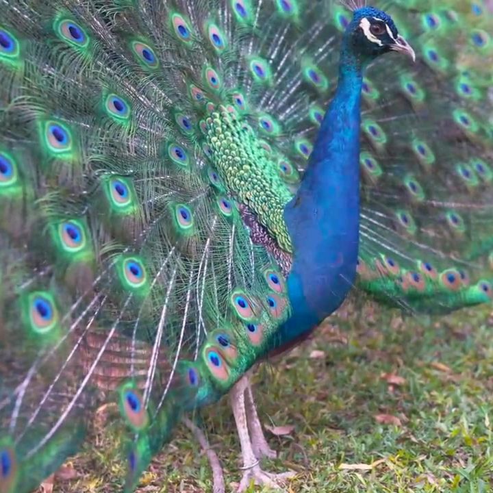 Profile Picture of scotthkrjacqui (@scotthkrjacqui) on Tiktok