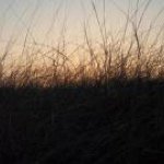 Profile Picture of Jerrod Powell (@jerrodpowell) on Instagram