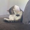 Profile Picture of scott waite (@@scott.waitee) on Tiktok