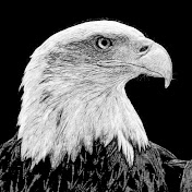 James Hub - Youtube Profile Picture of James Hub (@Jameshub-t9i) on Youtube