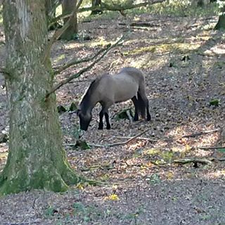 Profile Picture of Andre Knapper (@andre.knapper.3) on Facebook