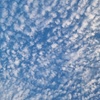 Profile Picture of John Westervelt (@@johnwestervelt285) on Tiktok