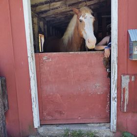 Profile Picture of Chris M (@forstcam) on Pinterest