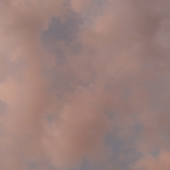 Profile Picture of Haley Martinsen (@lele_m1234) on Poshmark