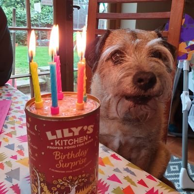 Profile Picture of StuartTredgett-Brady (@MrStuTB) on Twitter