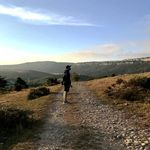 Profile Picture of Mario Andino (@mgandino) on Instagram