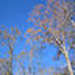 Profile Picture of Siddharth Srivastava (@sid) on Flickr