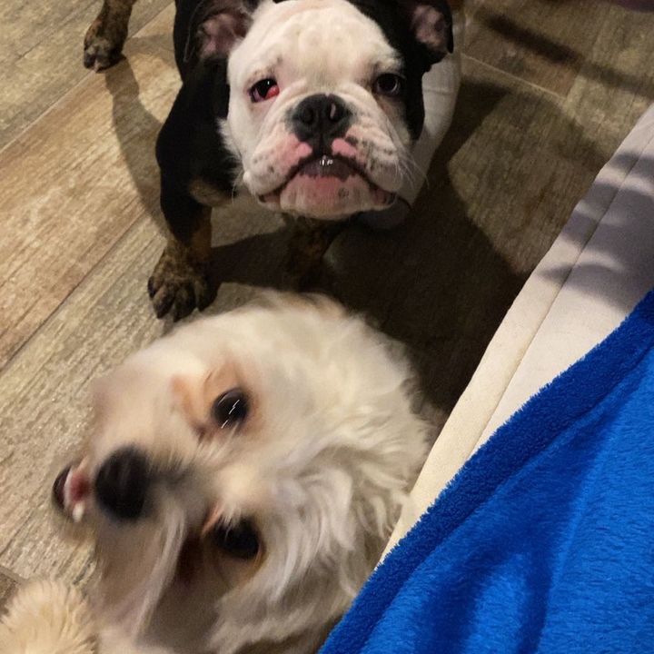 Profile Picture of Armani.Bruno (@armani.bruno) on Tiktok