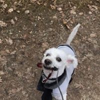 Profile Picture of Becker Andreea Bianca (@becker-andreea-bianca) on Quora