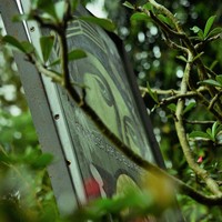 Profile Picture of Alex Quijano (@alex-quijano-7) on Quora