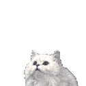 Profile Picture of Cathy Aka Buffy (@kittysavon) on Myspace