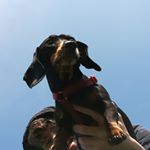 Profile Picture of Tammy (@tammyxmacfarlane) on Instagram