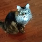 Profile Picture of Corrie Serrett (@corrie.serrett) on Facebook