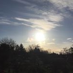 Profile Picture of Alexander Stuart Roulston (@alex_roulston) on Instagram
