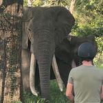 Profile Picture of Max Neff (@flomax_225) on Instagram