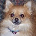 Profile Picture of Shea Cochran (@cochranshea) on Instagram