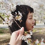 Profile Picture of 郭美辰 (@chiu_chenn) on Instagram