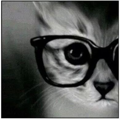 Profile Picture of J. Carlos Roque Garc (@carlosroque30) on Twitter