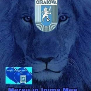 Profile Picture of Valentin Ivanov (@Valenti83481458) on Twitter