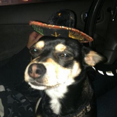 Profile Picture of Jaime Anthony Pando (@pando_jaime) on Twitter