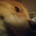 Profile Picture of Jacob LaPierre (@jacob.lapierre.54) on Facebook