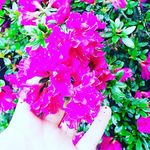 Profile Picture of Giuseppina Pozzi (@gius_eppina222) on Instagram