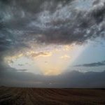 Profile Picture of Felix Arriaga B (@felixarbra) on Instagram