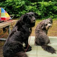 Profile Picture of Joni Campbell (@joni-campbell-8) on Quora