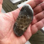 Profile Picture of Andrew  Pielet (@apielet) on Instagram