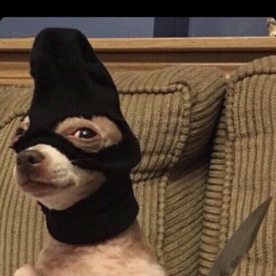 Profile Picture of Yungtyler (@tyler_boger) on Twitter