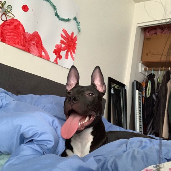 Profile Picture of Omar Oropeza (@o_oropeza) on Poshmark