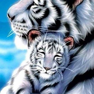 Profile Picture of Keilor Nosedal (@keilor.nosedal) on Facebook