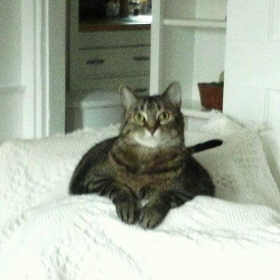 Profile Picture of Joyce Stewart (@Johnswife2004) on Twitter