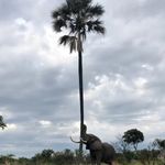 Profile Picture of DANIEL KANAGARAJ (@daniel.kanagaraj) on Instagram