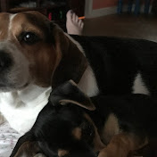 Profile Picture of Eric Metts (@ericmetts4629) on Youtube