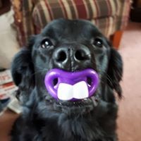 Profile Picture of Tory Boon (@tory-boon) on Quora