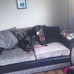 Profile Picture of Conor Perry (@conor_perry11) on Instagram