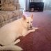 Profile Picture of Sheryl Weber (@sheryl.weber.188) on Facebook
