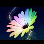 Profile Picture of Sharon Keeling (@fluorescentbeauty1) on Instagram